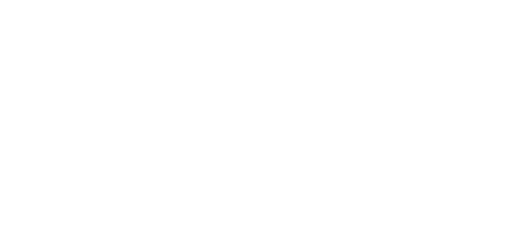 REMUSA — Repuestos Mundiales S.A.
